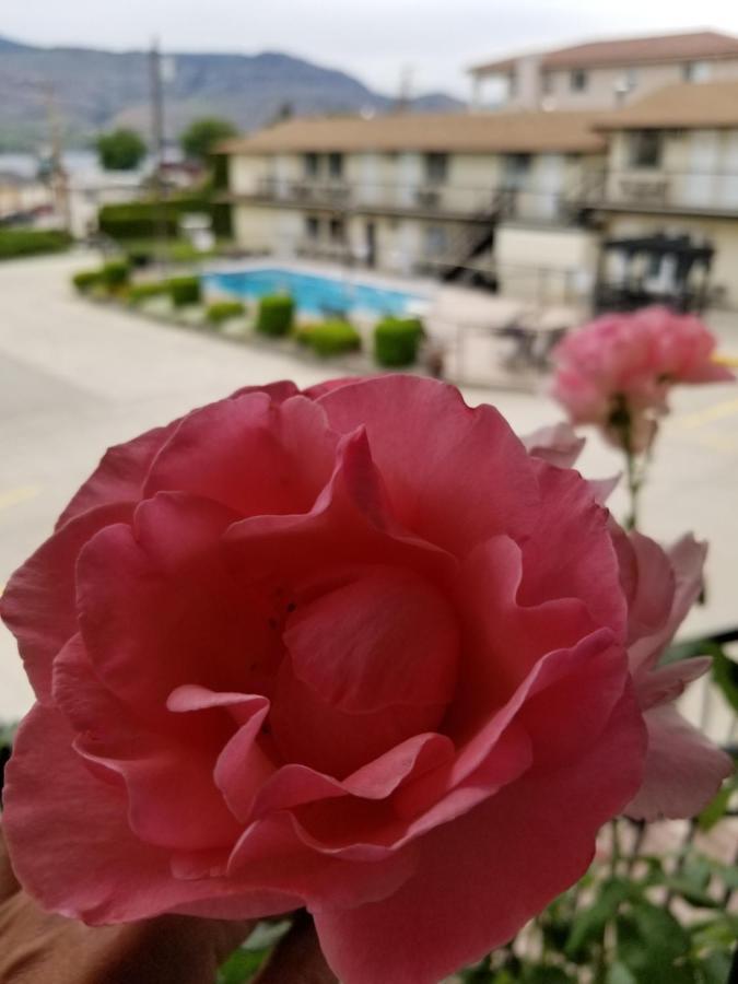 Osoyoos Lakeview Inn & Suites Eksteriør billede